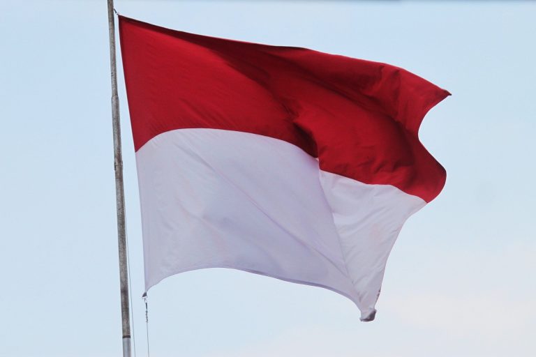 Indonesia Pertiwi