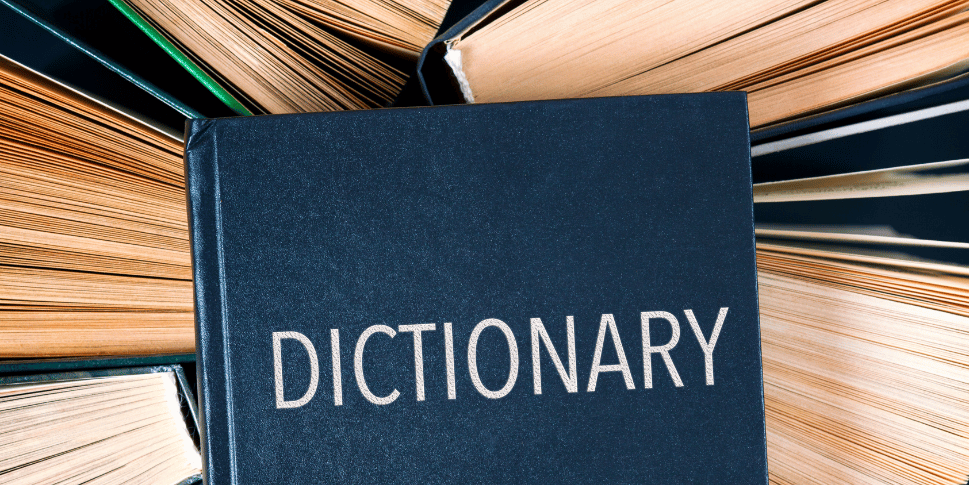 rekomendasi kamus