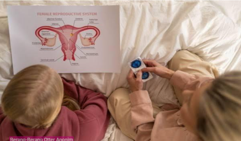Membahas Sex Education