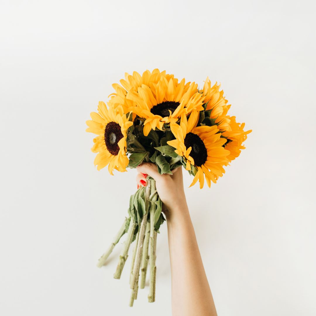 Cerpen Bunga Matahari