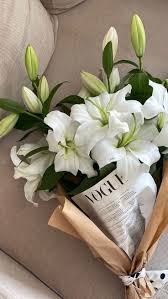 Bunga sering digunakan sebagai hadiah untuk merayakan momen spesial. Berikut adalah 5 jenis bunga yang cocok dikasih ke pacar!