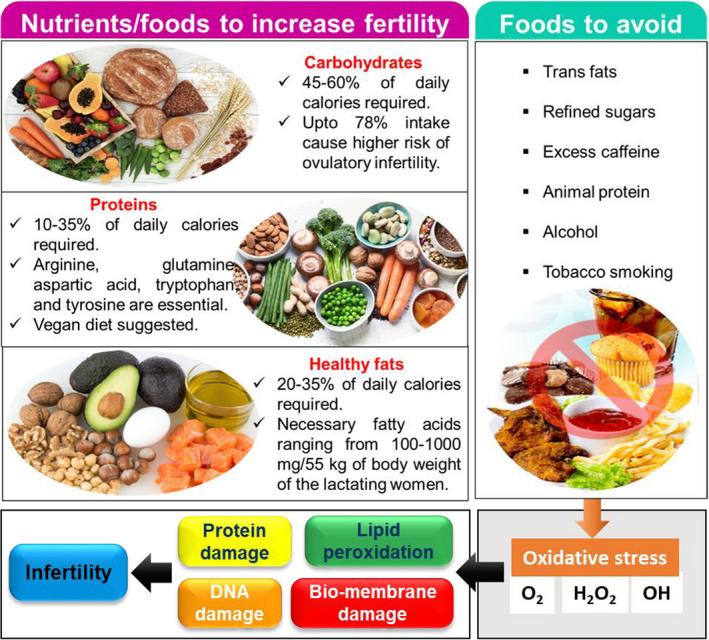 Makanan yang perlu dihindari dan dikonsumsi untuk menjaga alat reproduksi