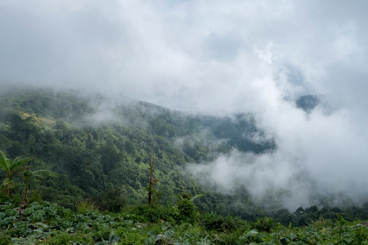 Lewat artikel ini kita akan mengungkap rahasia di balik kabut misterius Gunung Merapi yang menyimpan cerita dan fenomena alam menakjubkan.