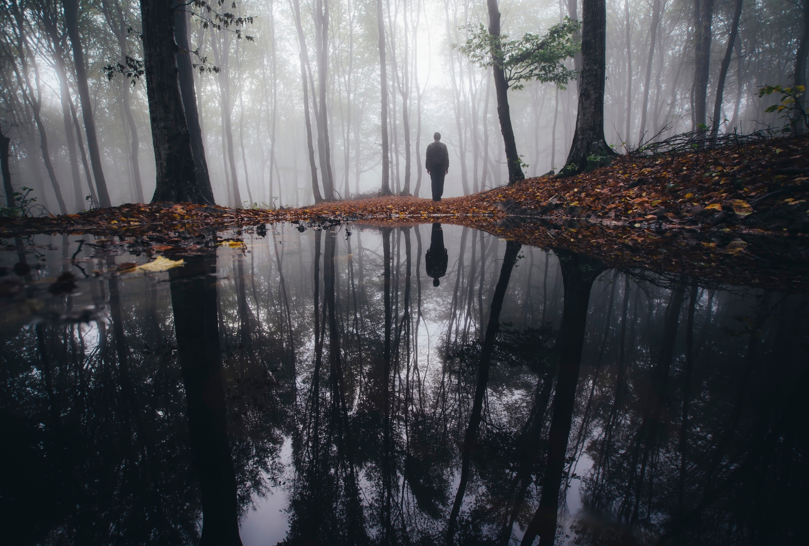 Pernah gak kamu ketemu seseorang yang bukan manusia? Pria ini ketemu wanita misterius di tepi danau. Semoga cerpen ini dapat menghiburmu!