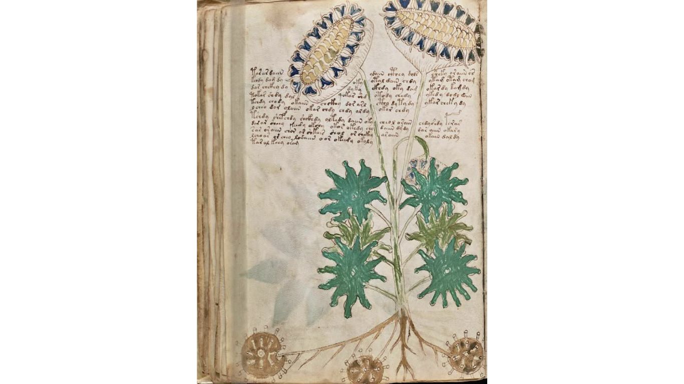 Manuskrip Voynich, teks abad ke-15 yang tak terpecahkan! penuh simbol misterius. Misteri apa yang tersembunyi?