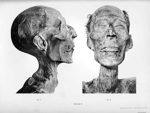 Mumi Ramses II