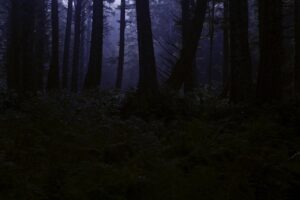 Misteri Warna Kuntilanak: Dari yang Lemah sampai Paling Membahayakan!