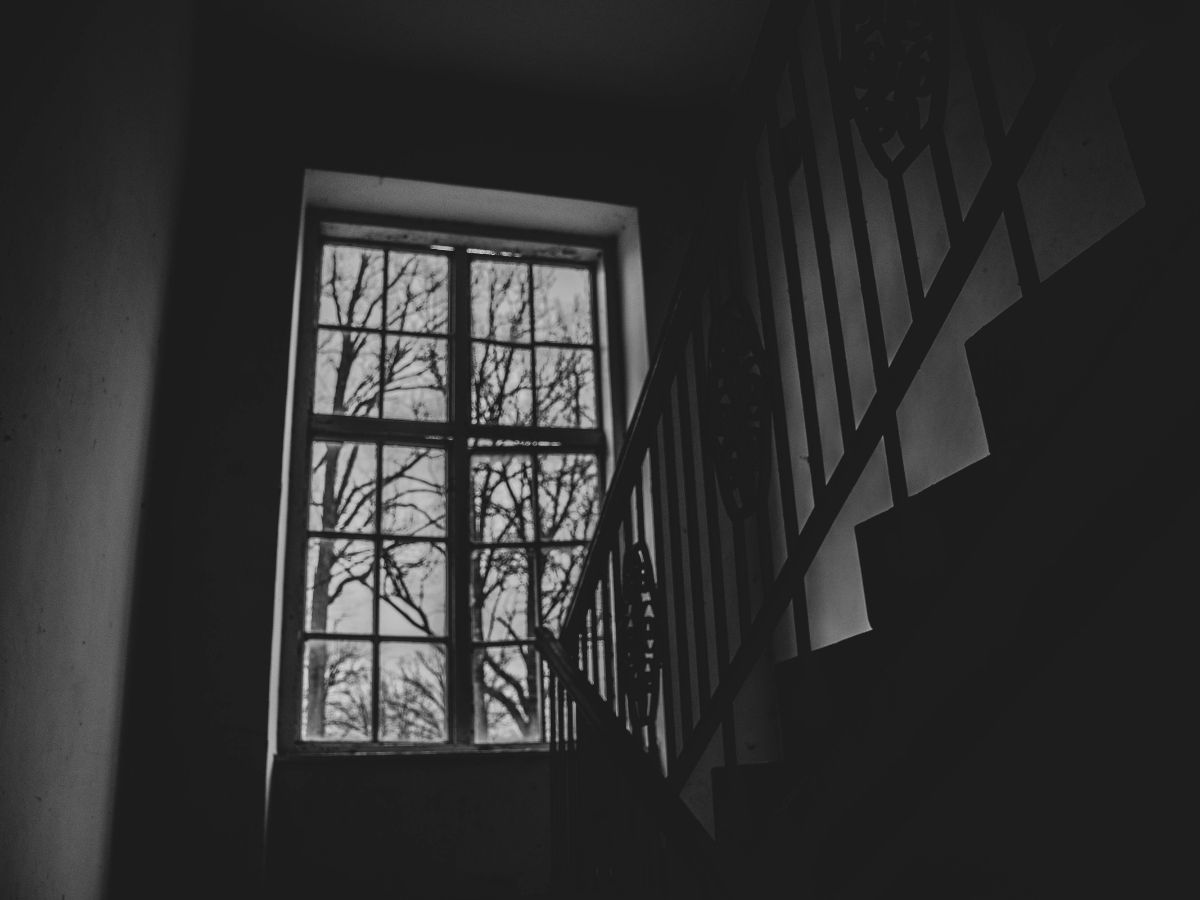 Kisah ini menggambarkan potongan kehidupan dari seorang anak kecil dan pamannya yang ternyata adalah vampir.