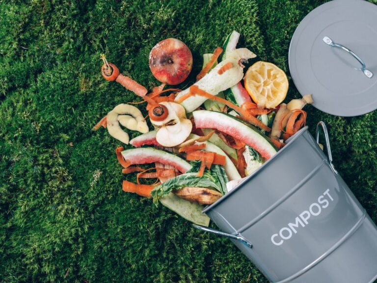 Sebuah Puisi - Nasi Secercah