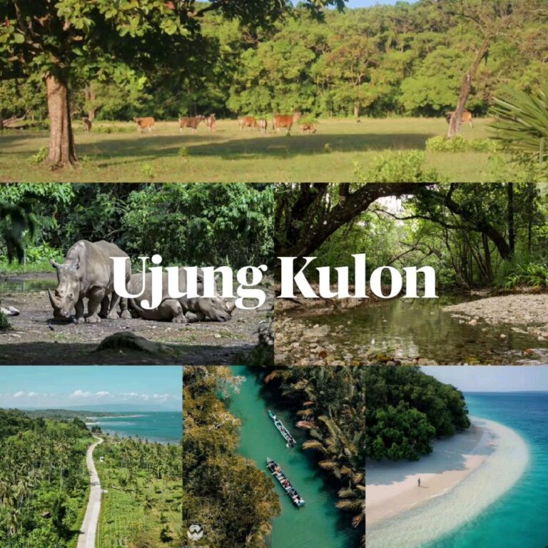 Ujung Kulon, Tempat di Jawa yang Penuh Cerita dan Keajaiban Alam