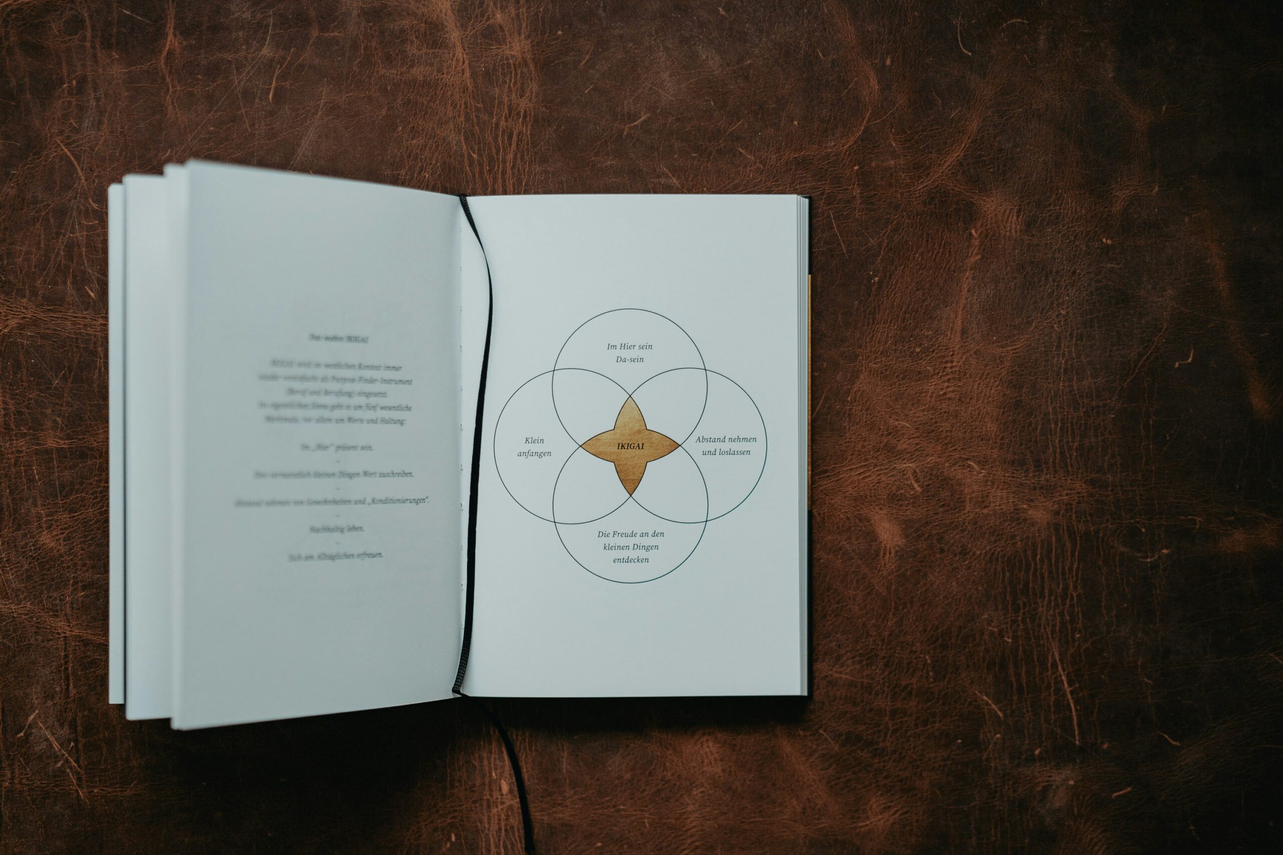 Buku Ikigai by Finde Zukunft. Picture by Unsplash