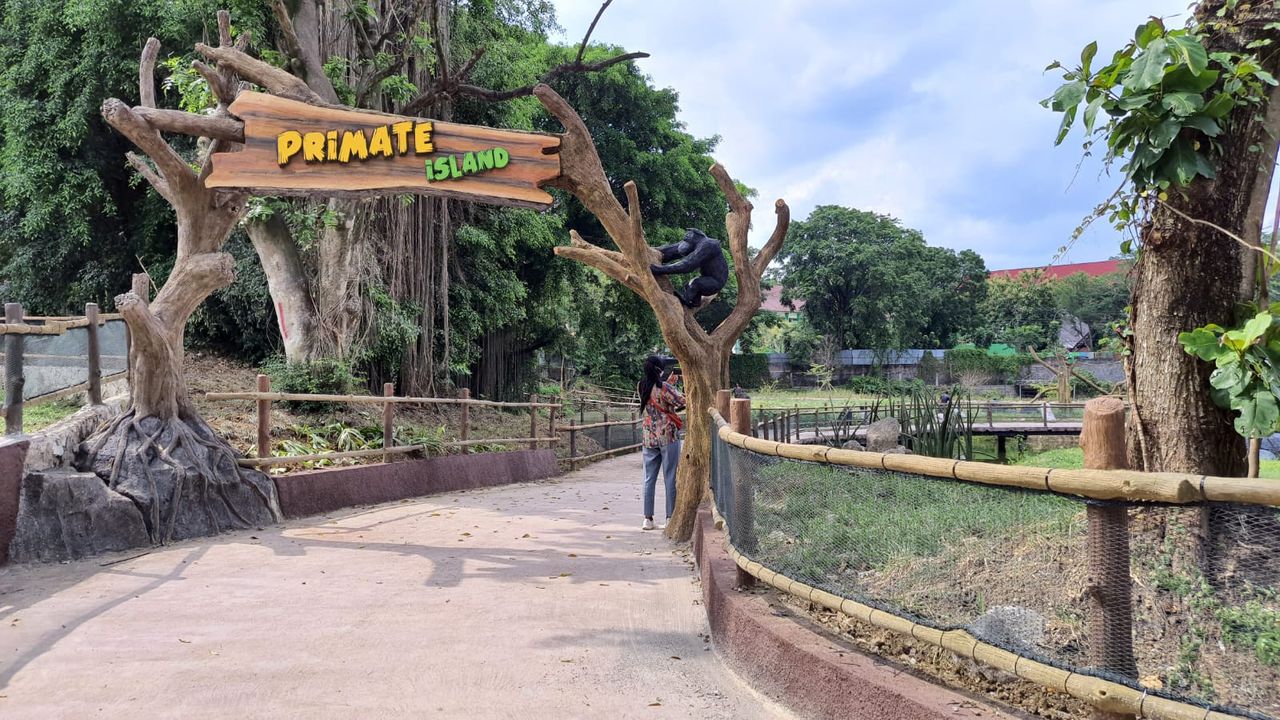 Solo Safari. Picture by Era.id