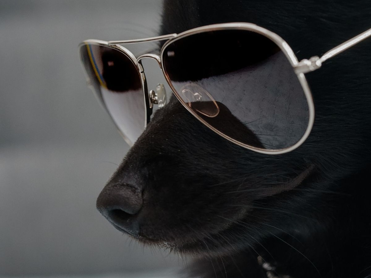 Sebuah Cerpen - Intrusive Thought