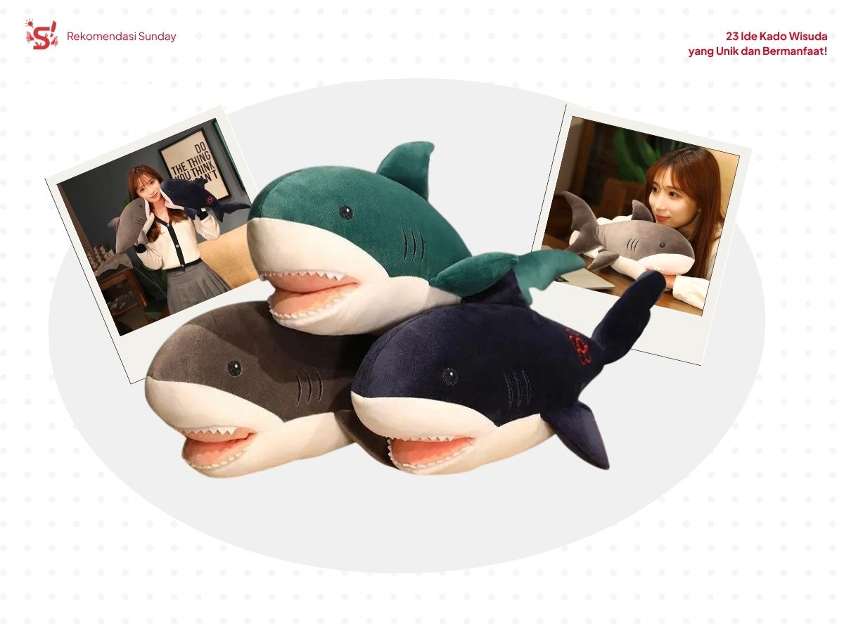 Tiga jenis hiu dengan warna berbeda (hijau, abu, navy) sebagai ide kado wisuda dan disertai ilustrasi penggunaan bantal