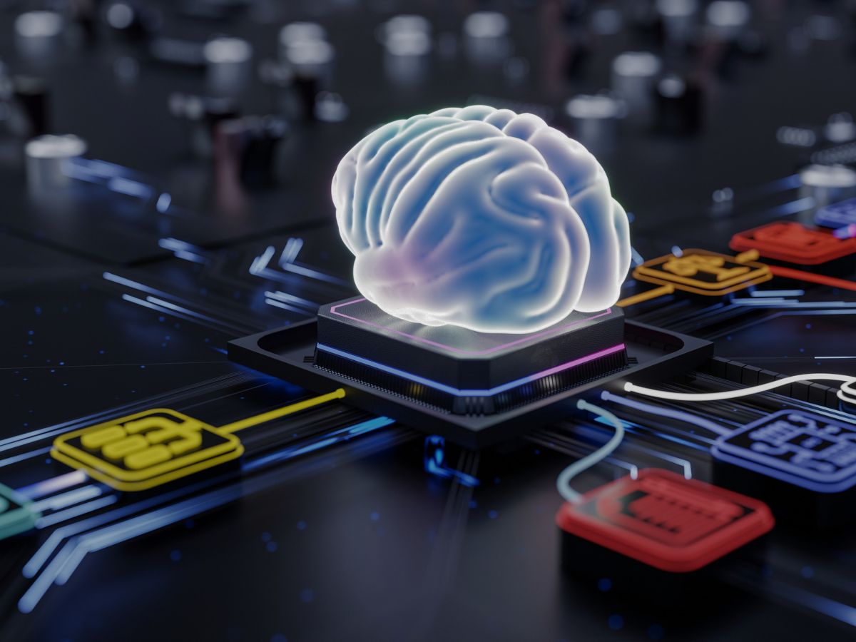 Pernah nggak sih, kalian memandangi daging di tengah dua roti dan iba-tiba kepikiran: "Kenapa ya nama makanan ini sandwich?"