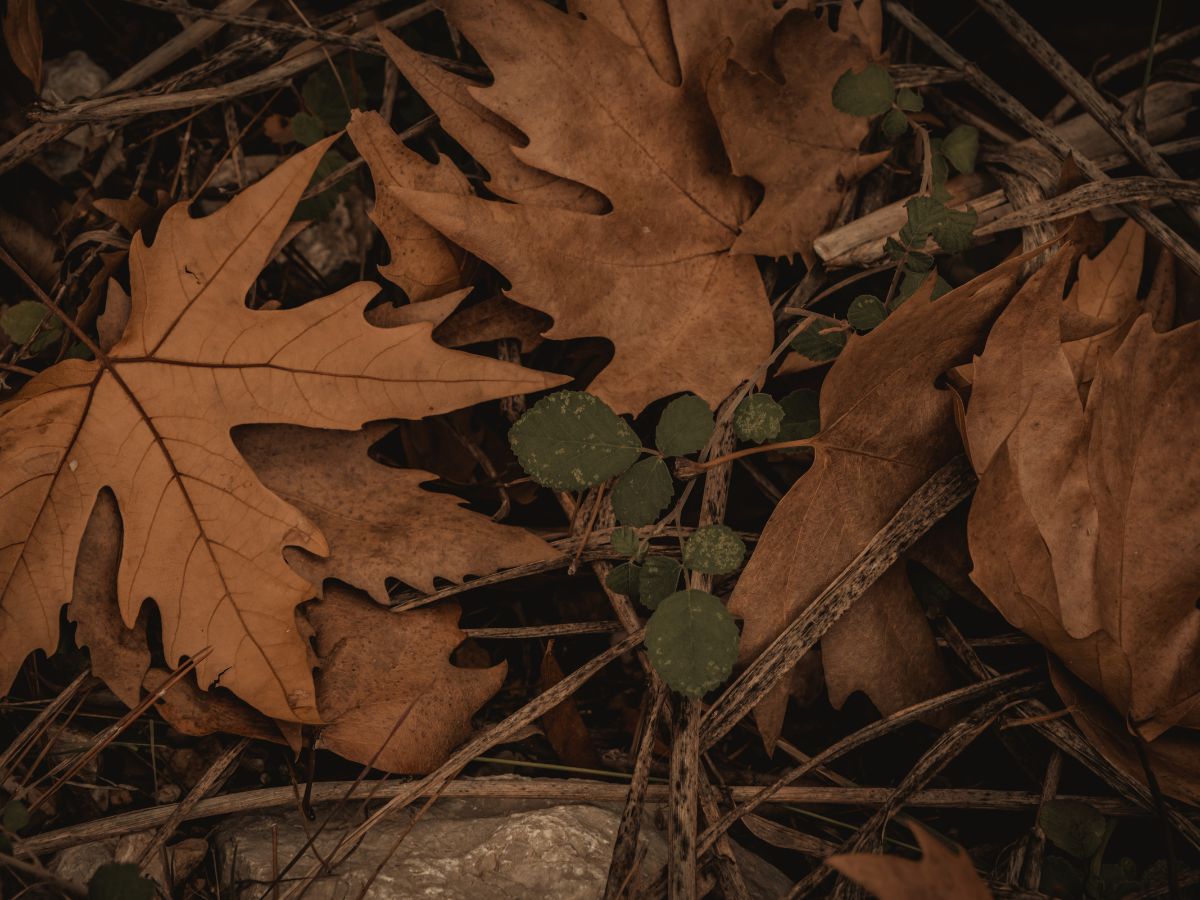 Sebuah Puisi - Perubahan Itu