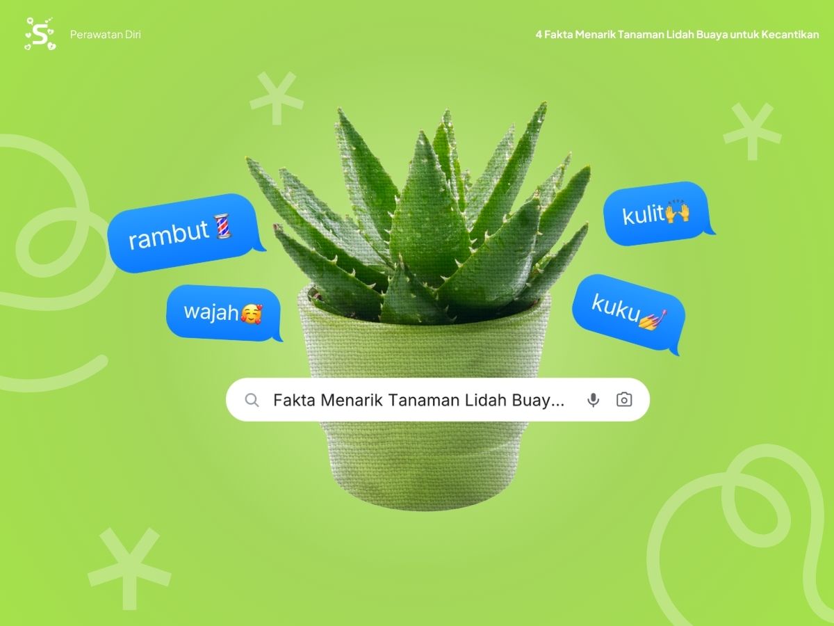 Manfaat tanaman Lidah Buaya untuk rambut, wajah, kuku, dan kulit