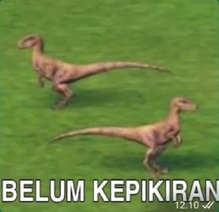 Menceritakan tentang lima pemuda yang mengalami Short circuit akibat otak mereka yang kelelahan namun masih dipaksa buat berpikir.