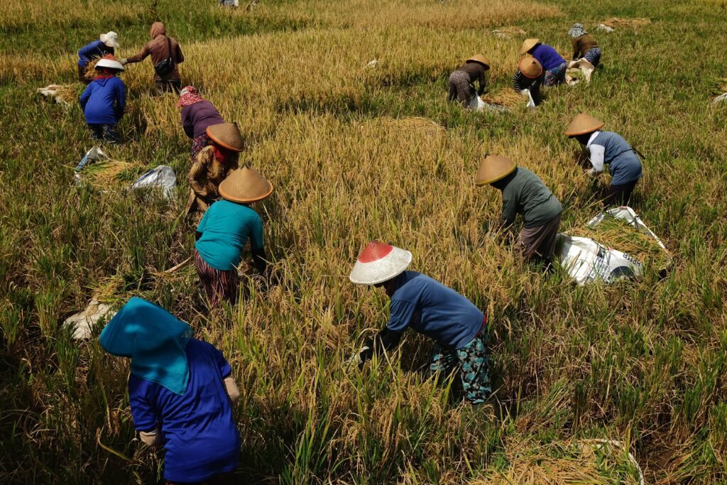 Budaya gotong royong masyarakat Ciptagelar Sukabumi