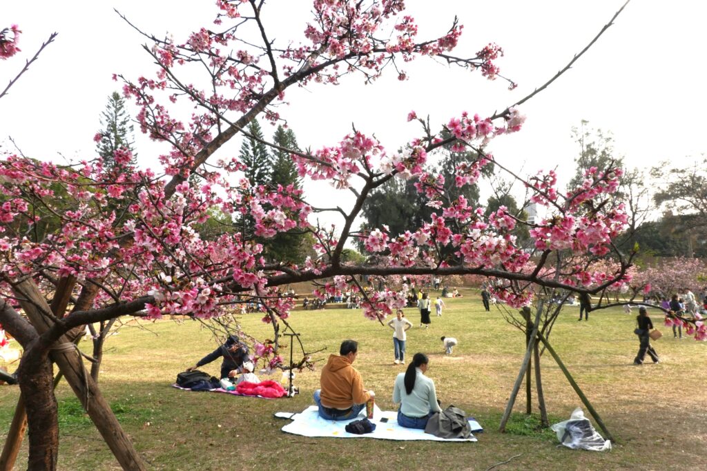 Kerapuhan yang Indah, Hakanai (儚い)