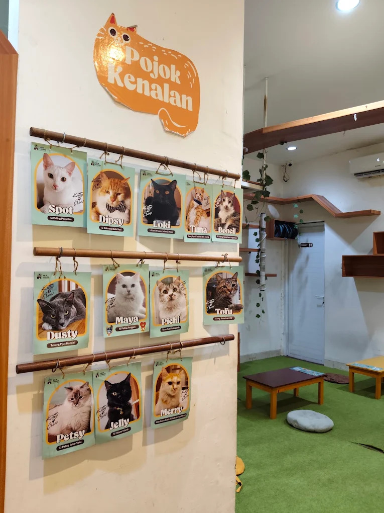 salah satu contoh cat cafe, Bilik Kucing Cat Cafe