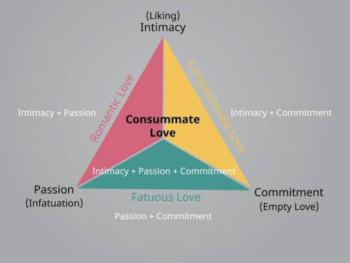 segitiga cinta sternberg yang terdiri dari intimacy, passion, dan commitment